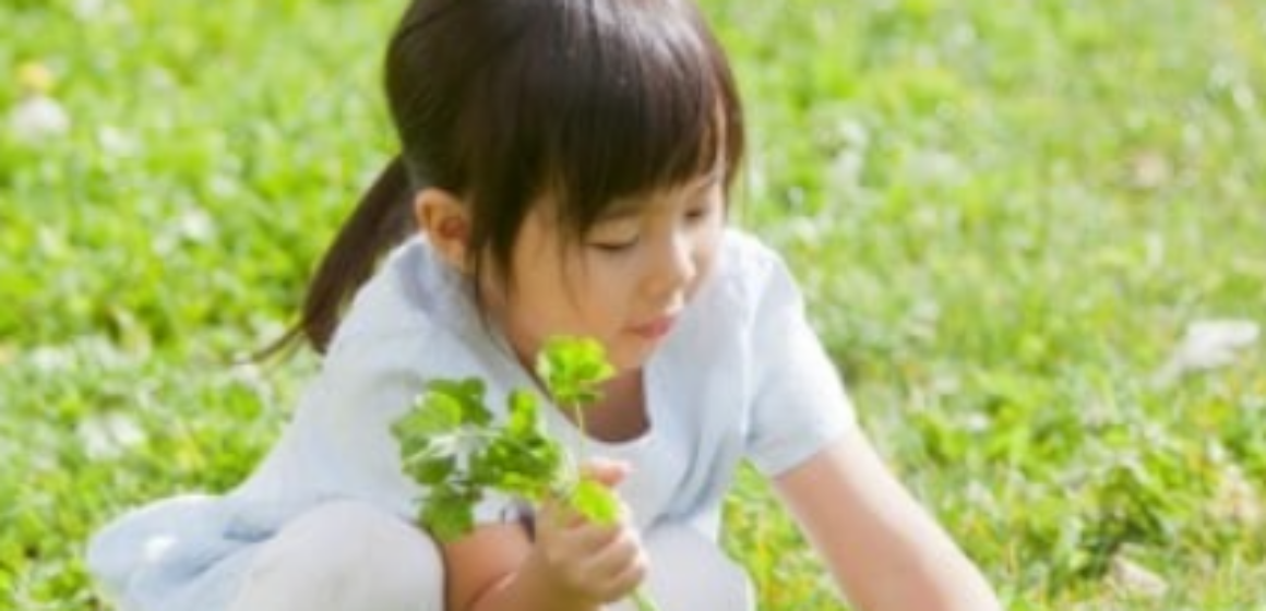 スクリーンショット 2025-11-25 122158