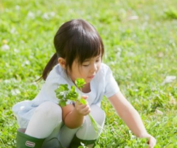 スクリーンショット 2025-11-25 122158