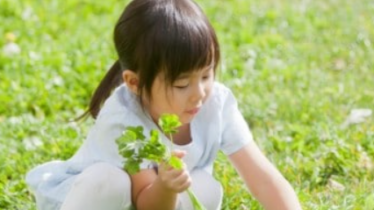 スクリーンショット 2025-11-25 122158